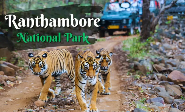 Ranthambore National Park