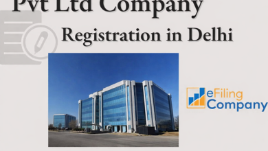 Pvt Ltd Company Registration in Delhi​
