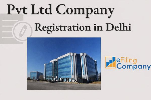 Pvt Ltd Company Registration in Delhi​
