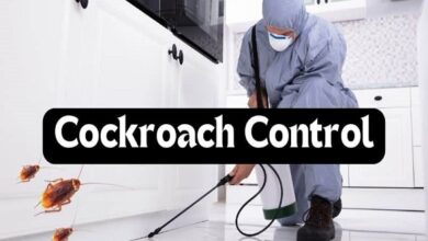 Cockroach Control Service in Jaipur