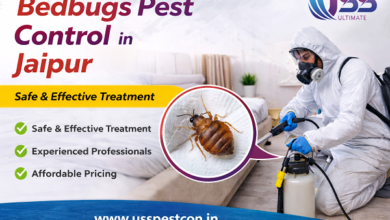 Bedbugs Pest Control in Jaipur