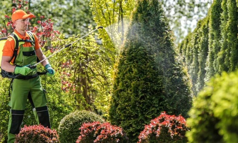 Best Pest Control Services in Jaipur