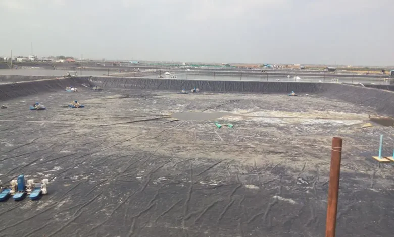 Liner for Aquaculture Pond