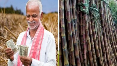 UP Farmer News