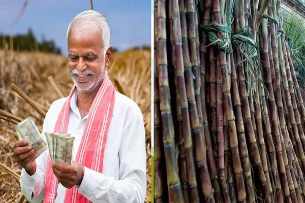 UP Farmer News