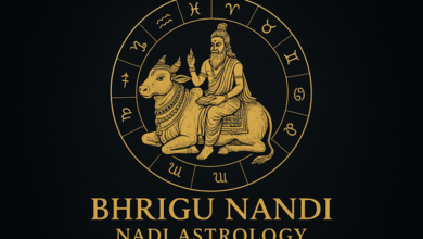 Bhrigu Nandi Nadi Astrology Services
