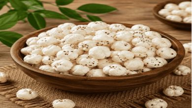 Premium quality makhana bulk