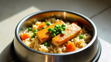 Fish Food for Dog