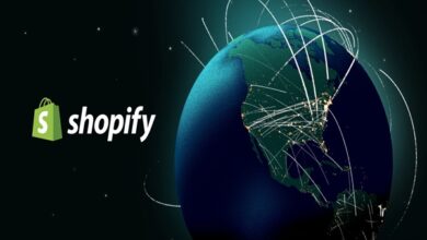 Klaviyo Shopify Integration Services
