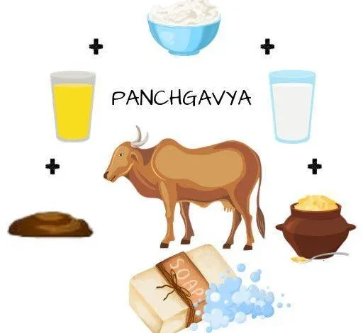 Panchgavya Products