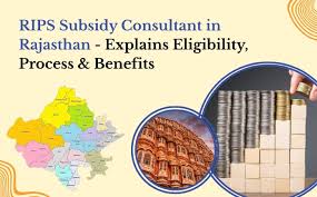 Rips Subsidy Consultant in Rajasthan