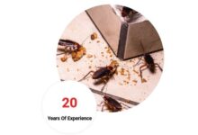 Cockroach Control Chennai