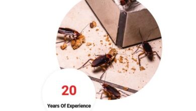 Cockroach Control Chennai