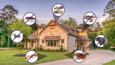 Residential Pest Control in Jaipur