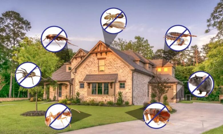 Residential Pest Control in Jaipur