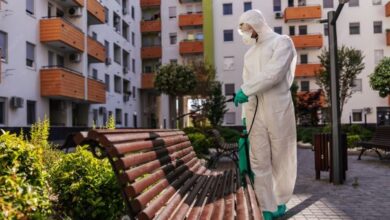 Commercial Pest Control Cost​ in Jaipur
