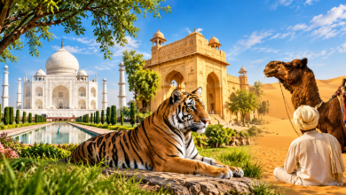 Ranthambore wildlife tour holiday package